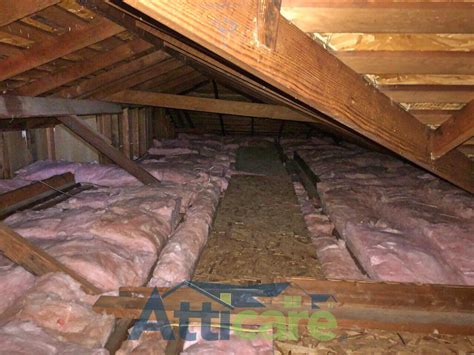 attic crawl space