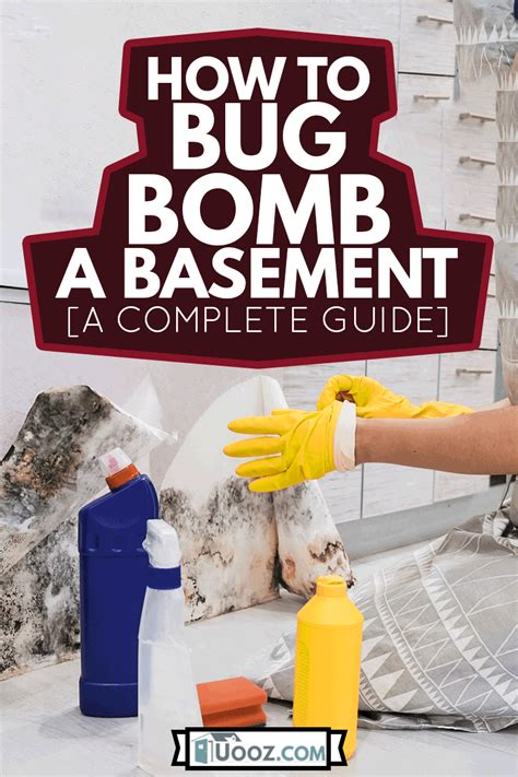 bug bomb crawl space