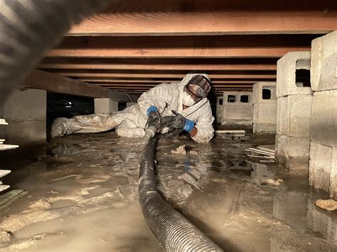 cleaning crawl space