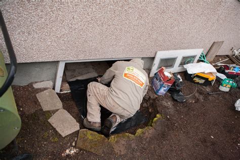 crawl space cleanout