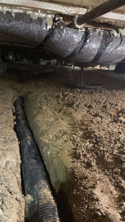 crawl space contractor