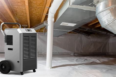 dehumidifier in crawl space