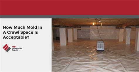 how much mold in crawl space is acceptable