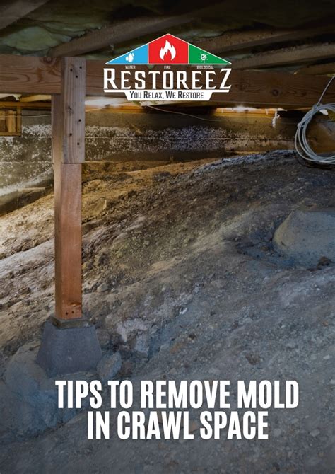 how to get rid of crawl space mold