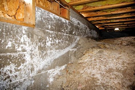 mold in the crawl space