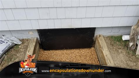 muncie crawl space services