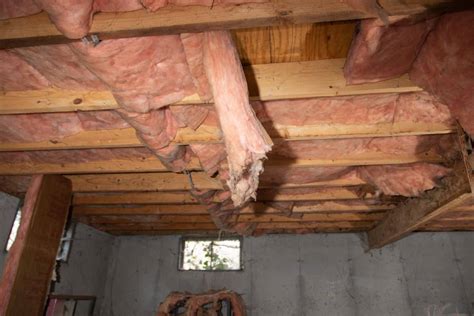 pros and cons of insulating crawl space