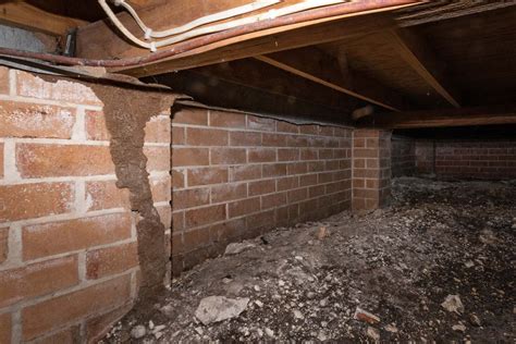 termite damage in crawl space