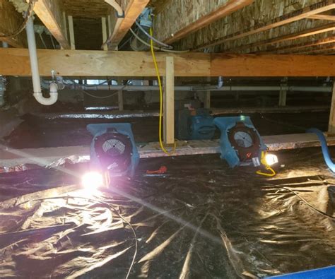 Analyzing the Economics of Crawl Space Renovations