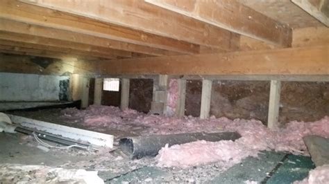 Common Signs of Crawl Space Damage You Shouldn't Ignore