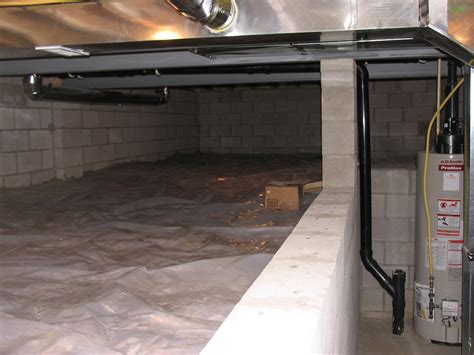 crawl space mold removal steps