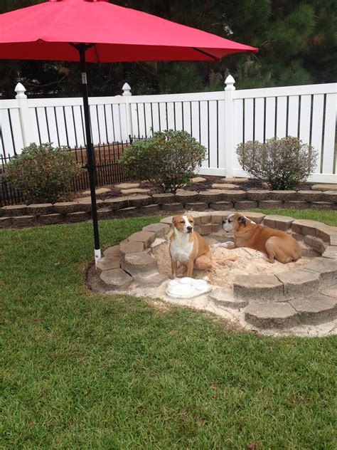 Creating a Pet-Friendly Outdoor Space for Your Furry Friends