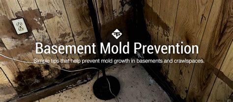 Crucial Steps for Preventing Mold in Your Basement