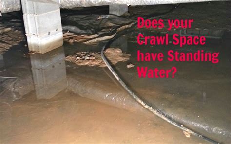 Crucial Steps to Take After Water Damage in Your Crawl Space