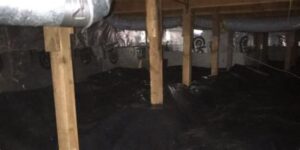 DIY vs. Professional Crawl Space Repair: Pros and Cons