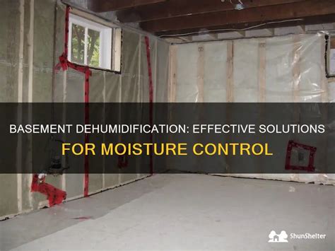 Effective Strategies for Basement Dehumidification