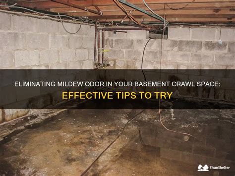 Effective Strategies for Eliminating Musty Odors in Your Crawl Space