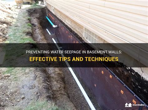 Effective Strategies for Preventing Water Seepage in Basements