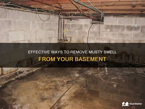 Effective Ways to Control Musty Odors in Your Crawl Space