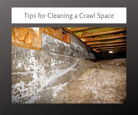 Empowering Homeowners with Crawl Space Maintenance Tips