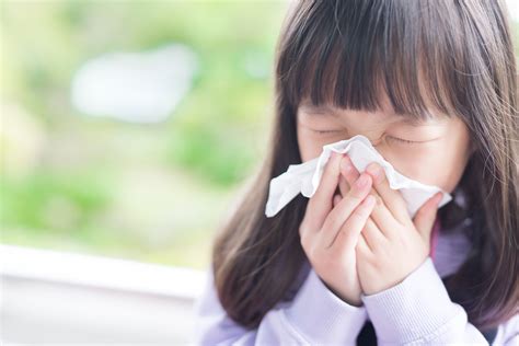 Expert Insights on the Relationship Between Humidity and Allergies