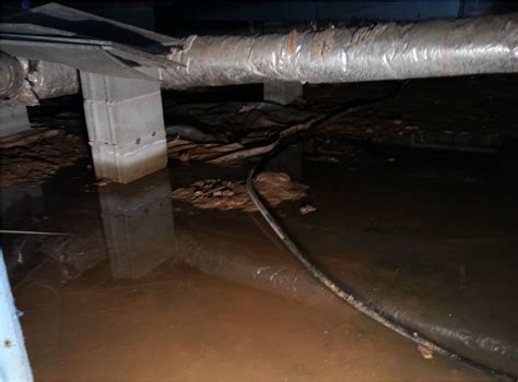 Exploring Eco-Friendly Options for Crawl Space Moisture Management