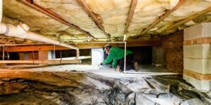 Future Trends In Crawl Space Encapsulation Technology