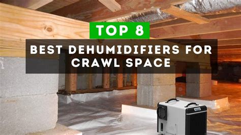 How to Choose the Right Dehumidifier for Your Crawl Space