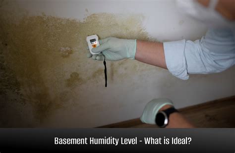 Maintaining Proper Basement Humidity Levels