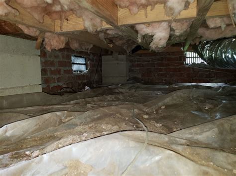 Optimizing Your Home's Foundation with Proper Crawl Space Maintenance