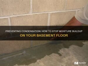 Preventing Condensation Buildup in Living Spaces: Practical Solutions