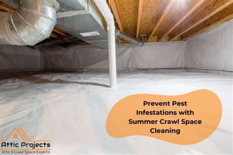 Preventing Pest Infestations in Your Crawl Space