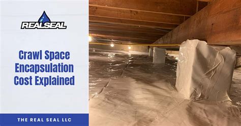 Real Estate Insights: The Impact Of Crawl Space Encapsulation