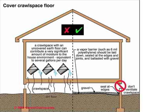 Signs Your Crawl Space Needs Immediate Moisture Control