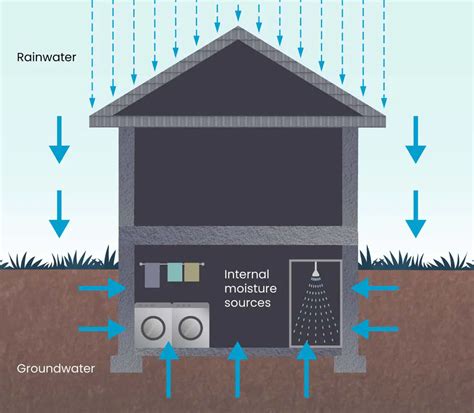 Smart Solutions for Controlling Basement Humidity Levels