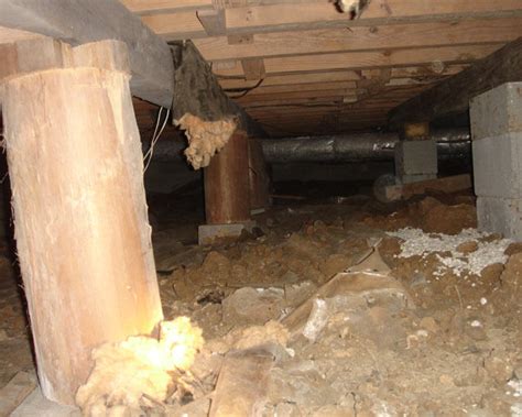 The Art of Crawl Space Transformation: From Neglect to Nirvana