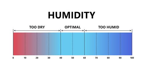 The Connection Between Humidity Levels and HVAC System Performance