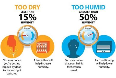 The Impact of Seasonal Changes on Home Humidity Levels