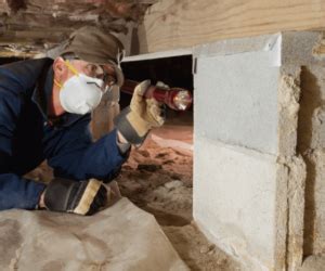 The Importance of Regular Crawl Space Inspections