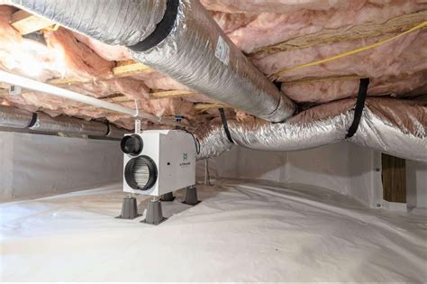 The Link Between Crawl Space Issues And Allergies