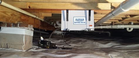 The Role of Dehumidifiers in Basement Moisture Control