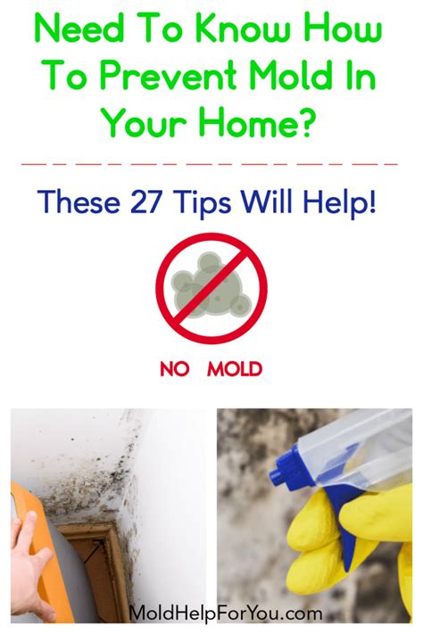 Top 10 Tips for Preventing Mold in Your Home