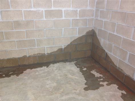 Top DIY Solutions for Damp Basement Problems