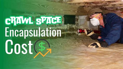 Understanding The Cost And ROI Of Crawl Space Encapsulation