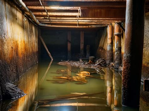 What To Do If You Find Standing Water In Your Crawl Space